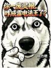 你一废灵根,咋成雷电法王了?