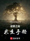 迷雾之地求生手册