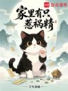 家里有只惹祸精