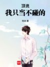 顶流,我只当不碰的!